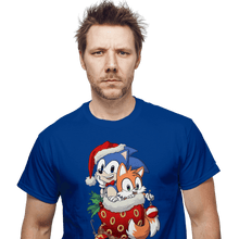 Load image into Gallery viewer, daily_deal_shirts Stocking Stuffer: Hedgehog Stocking Stuffer: Hedgehog