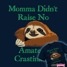 Load image into Gallery viewer, Daily_Deal_Shirts I'm A Professional I'm A Professional