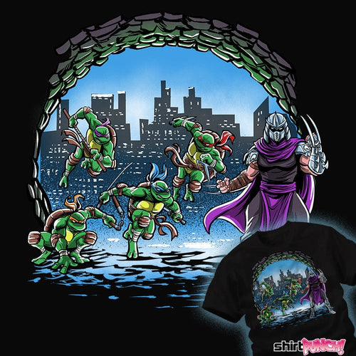 Daily_Deal_Shirts Turtles Cover