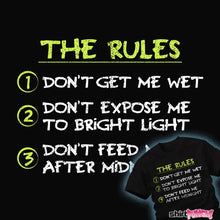 Load image into Gallery viewer, Secret_Shirts My Three Rules My Three Rules