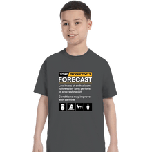 Load image into Gallery viewer, Secret_Shirts T-Shirts, Youth / XS / Charcoal Productivity Forecast