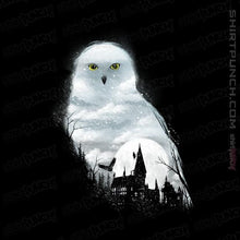 Load image into Gallery viewer, Shirts Magnets / 3"x3" / Black Magical Owl