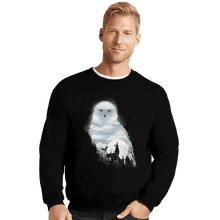Load image into Gallery viewer, Shirts Crewneck Sweater, Unisex / Small / Black Magical Owl