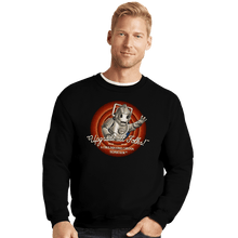 Load image into Gallery viewer, Shirts Crewneck Sweater, Unisex / Small / Black Upgrade All Folk