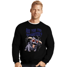 Load image into Gallery viewer, Daily_Deal_Shirts Crewneck Sweater, Unisex / Small / Black Are You The Keymaster?

