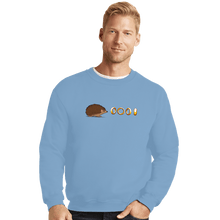 Load image into Gallery viewer, Secret_Shirts Crewneck Sweater, Unisex / Small / Powder Blue Not So Sonic
