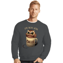 Load image into Gallery viewer, Shirts Crewneck Sweater, Unisex / Small / Charcoal Night Owl
