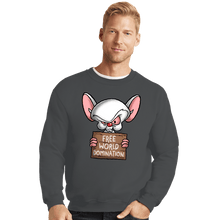 Load image into Gallery viewer, Daily_Deal_Shirts Crewneck Sweater, Unisex / Small / Charcoal Free World Domination