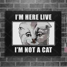 Load image into Gallery viewer, Shirts Posters / 4"x6" / Black Zoom Cat