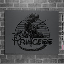 Load image into Gallery viewer, Shirts Posters / 4"x6" / Charcoal Xenoprincess