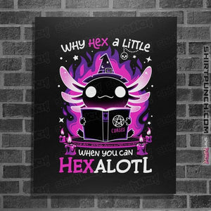 Daily_Deal_Shirts Posters / 4"x6" / Black Axolotl Witching Hour
