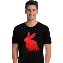 Load image into Gallery viewer, Daily_Deal_Shirts Premium Shirts, Unisex / Small / Black Death Awaits