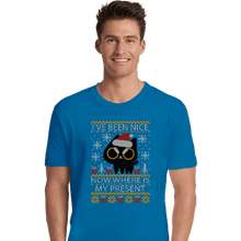 Load image into Gallery viewer, Daily_Deal_Shirts Premium Shirts, Unisex / Small / Sapphire Where Is My Present