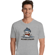Load image into Gallery viewer, Daily_Deal_Shirts Premium Shirts, Unisex / Small / Sports Grey Meltdown In Progress