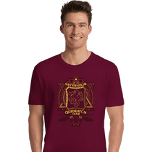 Load image into Gallery viewer, Shirts Premium Shirts, Unisex / Small / Maroon Quidditch Team