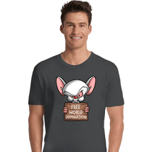 Load image into Gallery viewer, Daily_Deal_Shirts Premium Shirts, Unisex / Small / Charcoal Free World Domination