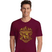 Load image into Gallery viewer, Sold_Out_Shirts Premium Shirts, Unisex / Small / Maroon Team Gryffindor