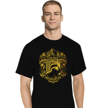 Load image into Gallery viewer, Sold_Out_Shirts T-Shirts, Tall / Large / Black Team Hufflepuff