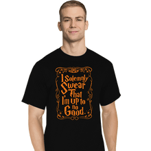 Load image into Gallery viewer, Secret_Shirts T-Shirts, Tall / Large / Black Solemnly Swear
