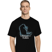Load image into Gallery viewer, Shirts T-Shirts, Tall / Large / Black My Patronus Is A Flerken