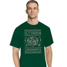 Load image into Gallery viewer, Shirts T-Shirts, Tall / Large / Charcoal Slytherin Sweater
