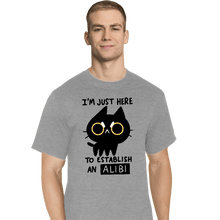 Load image into Gallery viewer, Daily_Deal_Shirts T-Shirts, Tall / Large / Sports Grey My Alibi