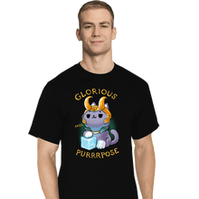 Load image into Gallery viewer, Shirts T-Shirts, Tall / Large / Black Mischief Cat
