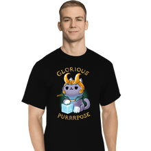 Load image into Gallery viewer, Shirts T-Shirts, Tall / Large / Black Mischief Cat