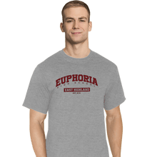Load image into Gallery viewer, Secret_Shirts T-Shirts, Tall / Large / Sports Grey Euphoria High School