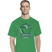 Load image into Gallery viewer, Shirts T-Shirts, Tall / Large / Athletic grey Slytherin Serpents