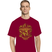 Load image into Gallery viewer, Sold_Out_Shirts T-Shirts, Tall / Large / Red Team Gryffindor