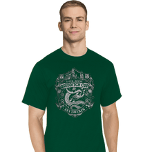 Load image into Gallery viewer, Sold_Out_Shirts T-Shirts, Tall / Large / Charcoal Team Slytherin