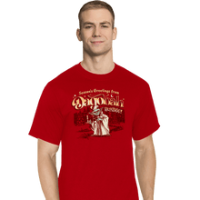 Load image into Gallery viewer, Daily_Deal_Shirts T-Shirts, Tall / Large / Red Dagobah Humbug