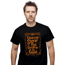Load image into Gallery viewer, Secret_Shirts T-Shirts, Unisex / Small / Black Solemnly Swear