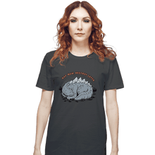 Load image into Gallery viewer, Daily_Deal_Shirts T-Shirts, Unisex / Small / Charcoal Nap & Destroy