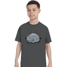 Load image into Gallery viewer, Daily_Deal_Shirts T-Shirts, Youth / XS / Charcoal Nap & Destroy