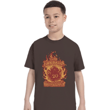 Load image into Gallery viewer, Daily_Deal_Shirts T-Shirts, Youth / XS / Dark Chocolate I Like Fireballs