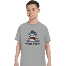 Load image into Gallery viewer, Daily_Deal_Shirts T-Shirts, Youth / XS / Sports Grey Meltdown In Progress