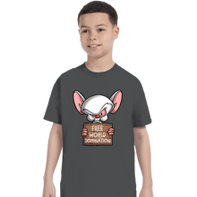 Load image into Gallery viewer, Daily_Deal_Shirts T-Shirts, Youth / XS / Charcoal Free World Domination