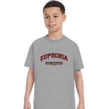 Load image into Gallery viewer, Secret_Shirts T-Shirts, Youth / XS / Sports Grey Euphoria High School