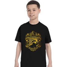 Load image into Gallery viewer, Sold_Out_Shirts T-Shirts, Youth / XS / Black Team Hufflepuff
