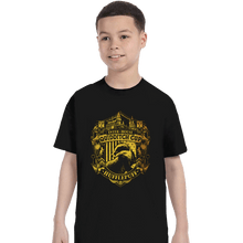 Load image into Gallery viewer, Sold_Out_Shirts T-Shirts, Youth / XS / Black Team Hufflepuff