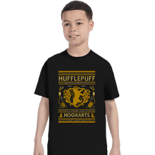 Load image into Gallery viewer, Shirts T-Shirts, Youth / XS / Black Hufflepuff Sweater