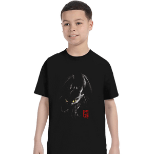 Shirts T-Shirts, Youth / XS / Black Fury Ink