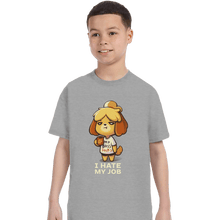 Load image into Gallery viewer, Shirts T-Shirts, Youth / XS / Sports Grey Hate My Job