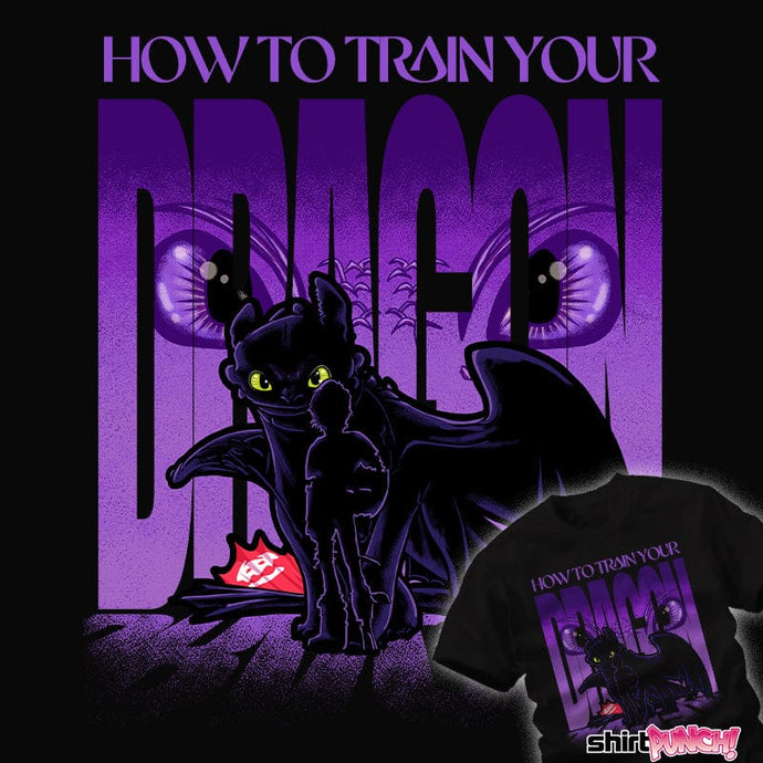 Daily_Deal_Shirts Dragon Training Dragon Training