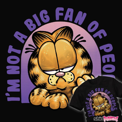Daily_Deal_Shirts Not A Big Fan Of People Not A Big Fan Of People