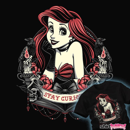 Daily_Deal_Shirts Stay Curious