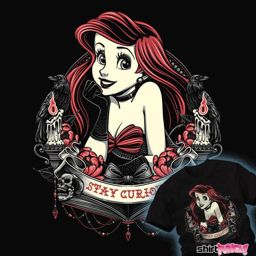 Daily_Deal_Shirts Stay Curious