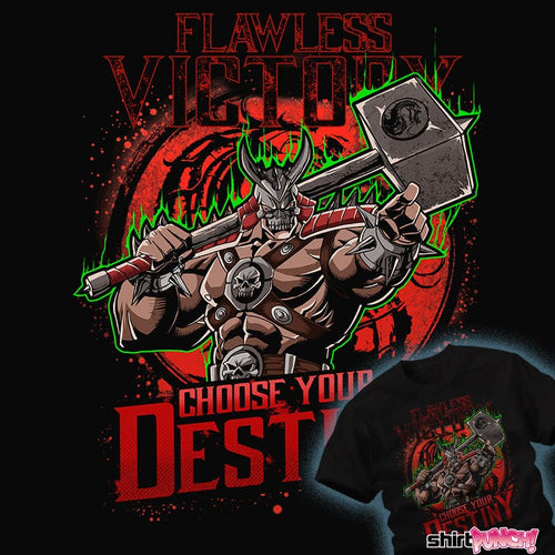 Daily_Deal_Shirts Choose Your Destiny Choose Your Destiny